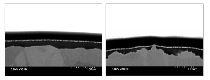 Carano-PCB-Apr2019-Fig2.jpg