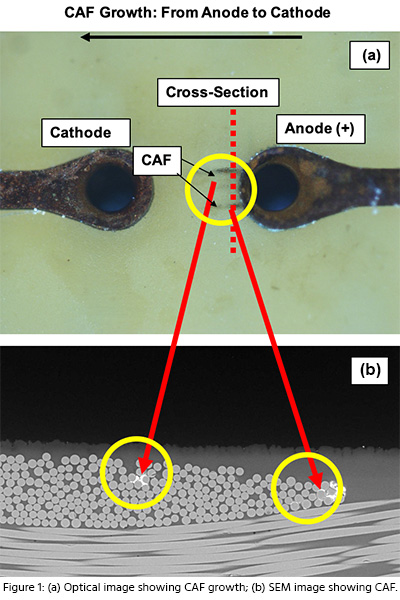 Carano_fix0420_fig1.jpg