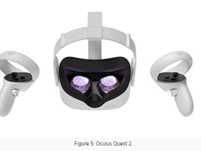 Feinberg_OculusQuest2_Fig5.jpg