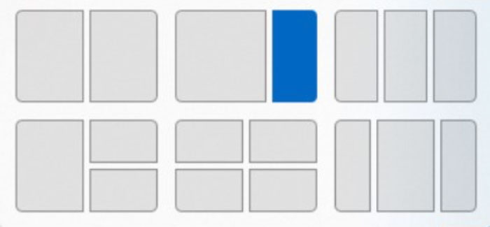 Feinberg_snaplayout_0422.jpg